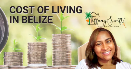 Image from belizerealestateagent.com