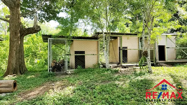 belizeresortstyleproperty