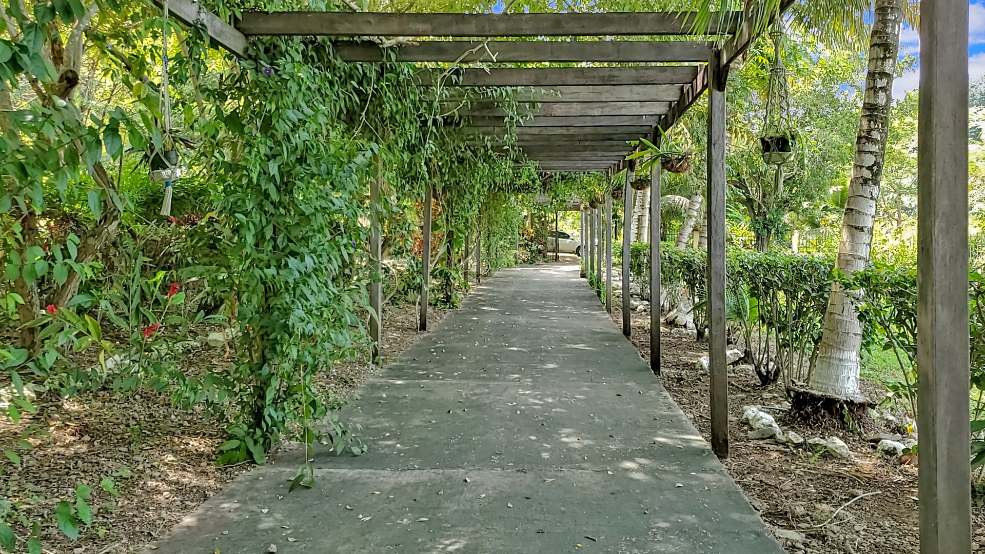 belizeresortstyleproperty