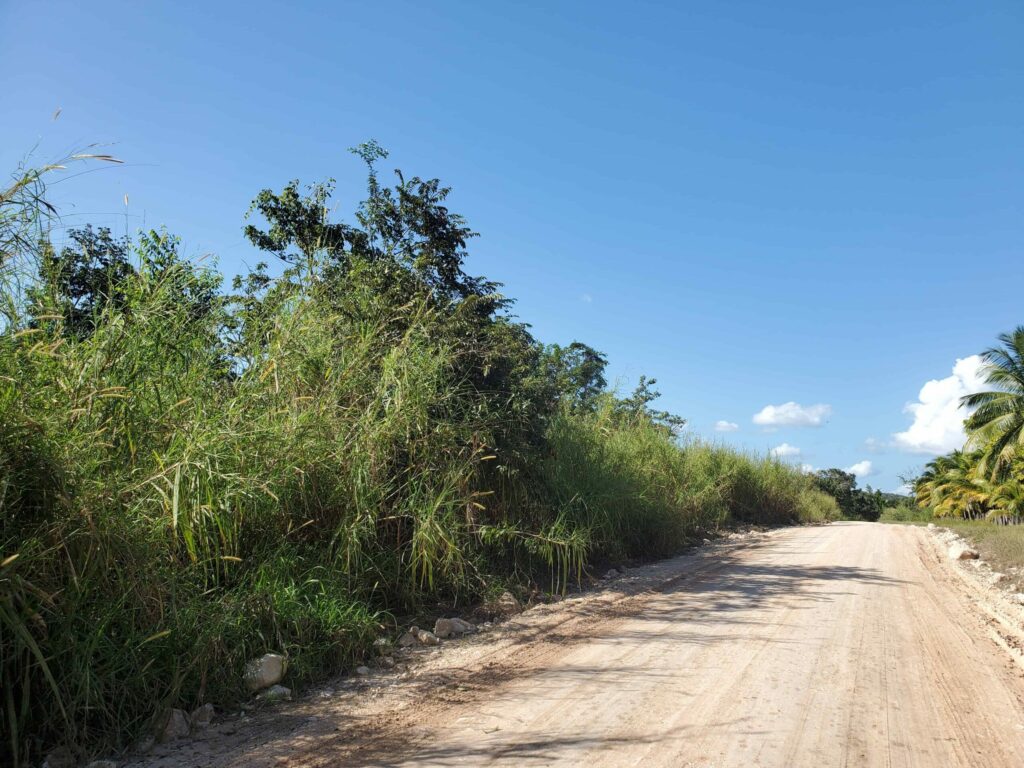 Off-Grid 5 Acres of Land in Western Belize perfect for Homestead Living