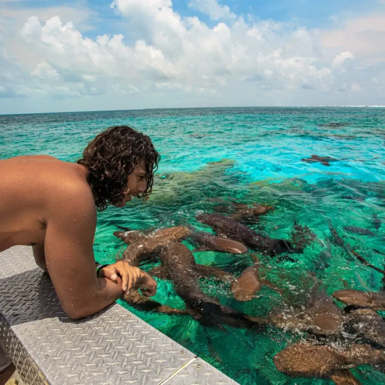 Visit Shark Ray Alley in Belize when moving or relocating in July