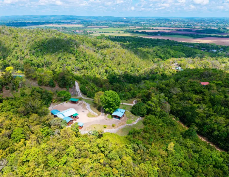 Aerial view of lush green landscape.